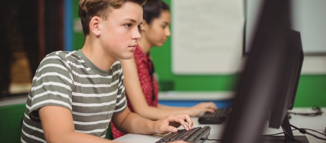 Students studying in computer classroom at school